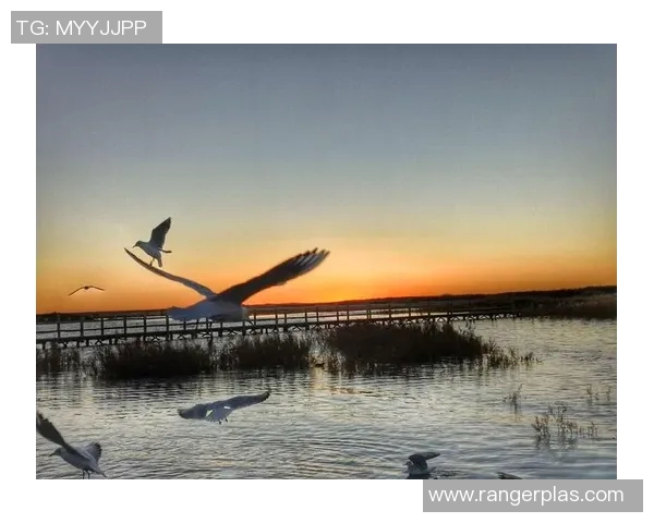 极限挑战与梦想追逐：北京极限运动队的奋斗与荣耀之路